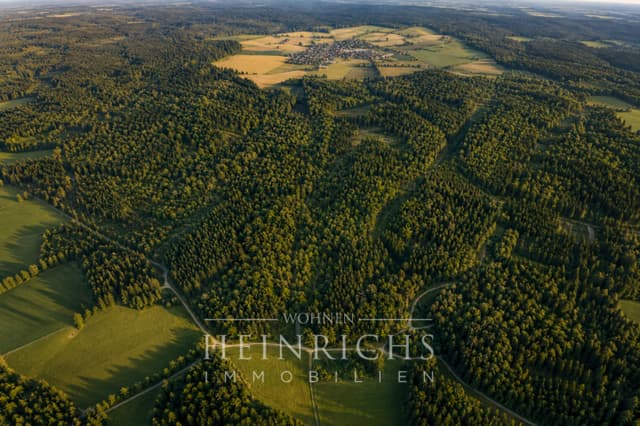 Premium-Forstanteil mit 5/136-Anteilen: 8,2 ha am Buchendorfer Gemeindewald / Forstenrieder Park