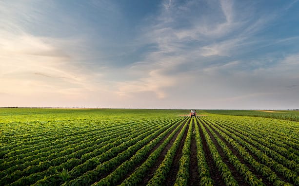 Ackerverkauf und 6b-Rücklage – Steuervorteile für Landwirte