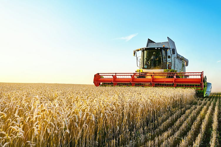 Landwirtschaftliche Flächen in Bayern – Fachmakler für Agrarimmobilien
